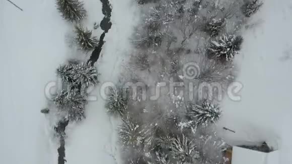 喀尔巴阡山村庄在雪中从一个高度低飞过一条被雪覆盖的河流和松树鸟的视野视频的预览图