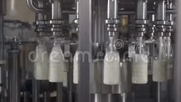 牛奶厂将乳制品倒入塑料瓶的输送线很多瓶子绕着传送带视频的预览图