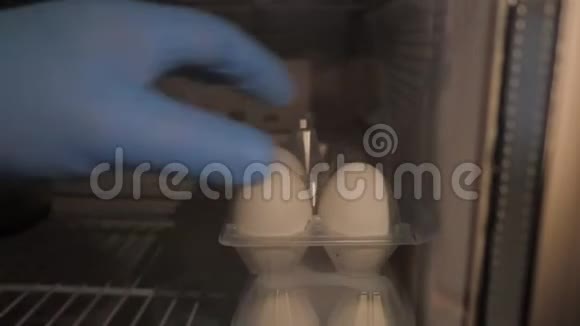近景厨师手拿蓝手套从冰箱里拿鸡蛋视频的预览图