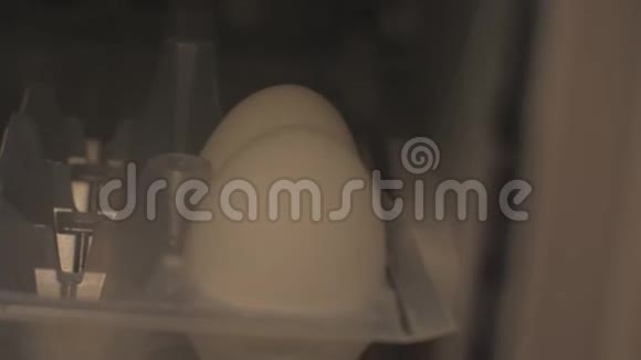 从冰箱容器里取出白蛋用手套做宏厨视频的预览图