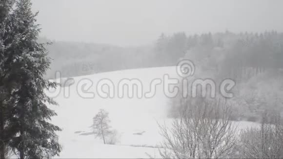 带森林的山上的暴风雪景观视频的预览图