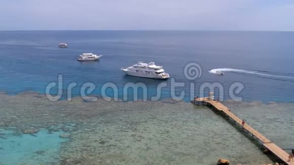珊瑚海滩全景码头和游乐船在红海的珊瑚礁埃及视频的预览图
