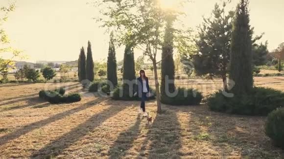日落时分年轻漂亮的女孩正和她的约克郡猎犬在公园里散步视频的预览图