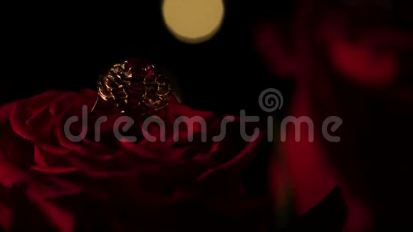 黑色背景上的金戒指和玫瑰情人节视频的预览图