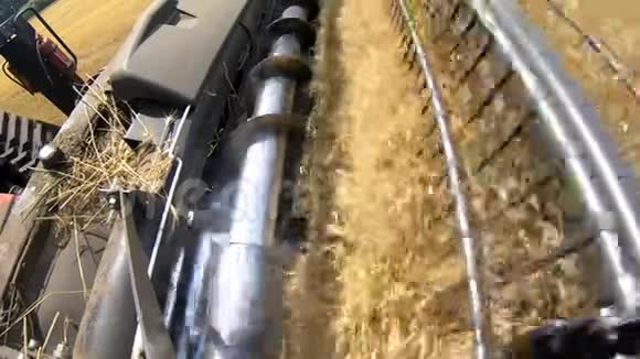 在收割小麦期间近距离观看联合收割机收割机4k视频的预览图
