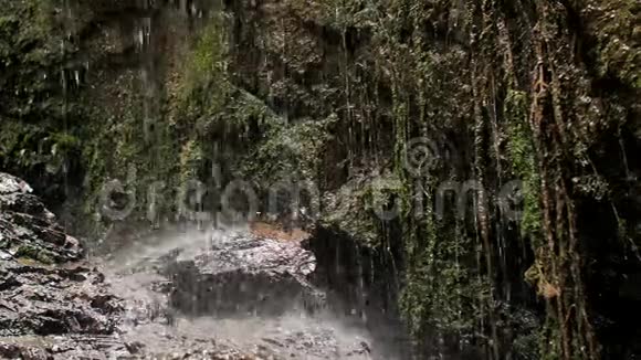纯净的生命之水在大自然中滴在岩石上视频的预览图
