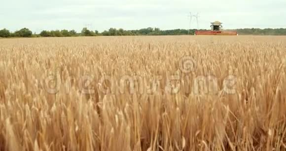 收割机收割麦田作业联合收割机农业机械收割金熟小麦视频的预览图