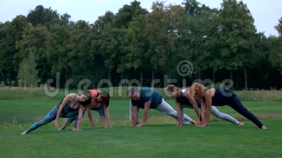 一群白种人在公园里做瑜伽视频的预览图
