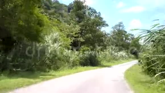绿色森林中有红色和黄色路标的白色道路视频的预览图