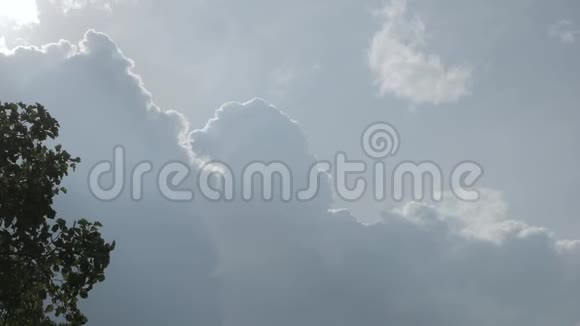 橡树和白色蓬松的云彩视频的预览图