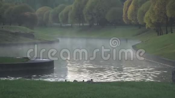 早晨在秋河上的雾视频的预览图