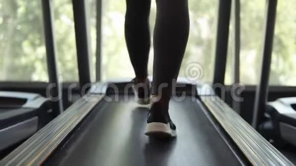 从下到下的美丽景色一位穿着黑色胸罩和紧身裤的女性在前面的跑步机上热身视频的预览图