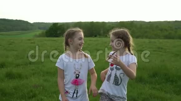 两个少女姐妹在草地上散步聊天视频的预览图