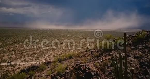 无人机飞在风景优美的仙人掌沙漠田野上史诗般的沙暴墙靠近美国亚利桑那州国家公园视频的预览图