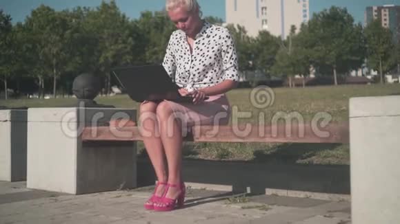 白人商务女性穿着白色衬衫带着豆坐在街上的长凳上在笔记本电脑后面工作视频的预览图