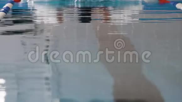 专业游泳者在游泳池游泳以获得速度视频的预览图
