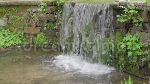 自然景观阶梯瀑布清新纯净的水流在草地之间缓慢流动视频的预览图