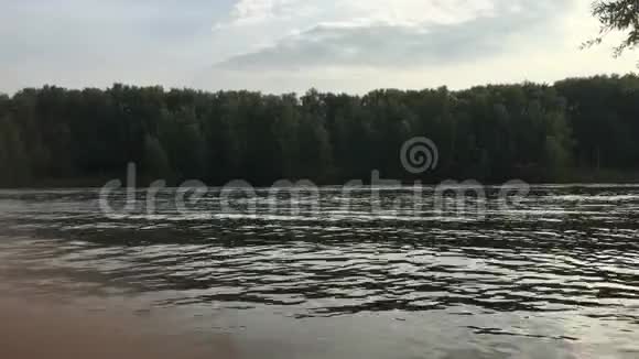夏日河岸景观录像视频的预览图
