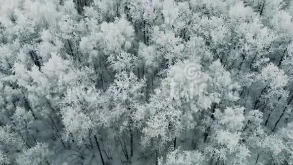 瑞士冬季景观航拍4K视频的预览图