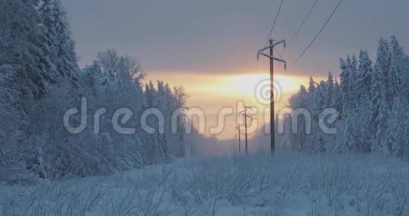 在靠近电力线的森林里美丽的日落视频的预览图