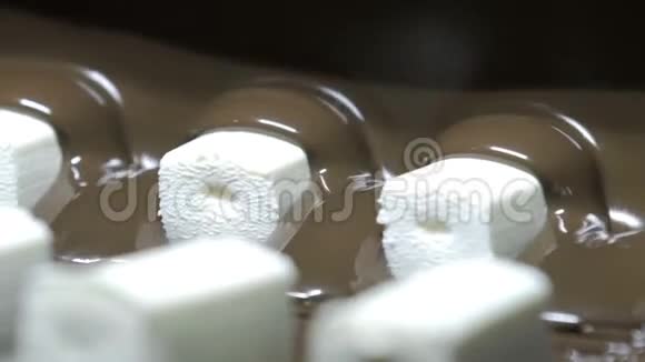 牛奶罐头厂釉面豆腐棒的制造传送机传送的巧克力腐乳视频的预览图