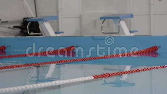 专业游泳者在游泳池游泳以获得速度视频的预览图