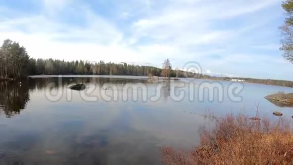 令人难以置信的宁静的清水湖被松树白桦树和美丽的景色笼罩在蓝天下视频的预览图