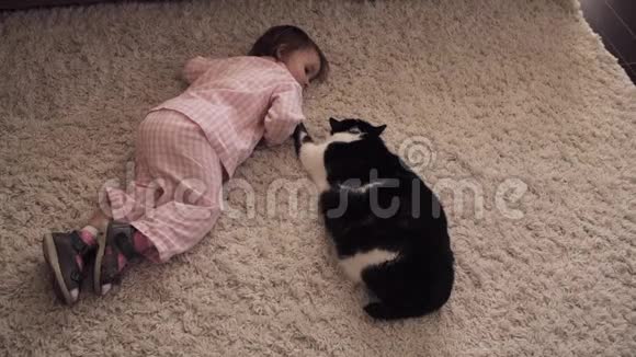 小女孩坐在地板上玩红色毛茸茸的猫视频的预览图