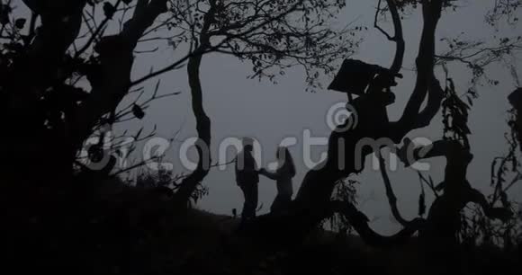 深秋山清水秀男人拥抱女人站在树前落叶覆盖着浓雾哥特式视频的预览图