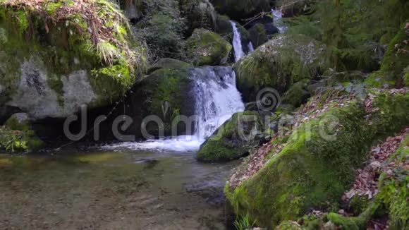 美丽的山瀑布干净的淡水在巨大的苔藓石上缓慢流动视频的预览图