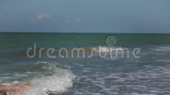 海洋波的电影慢镜头视频的预览图