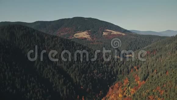 阳光照耀下茂密松林的山峦视频的预览图
