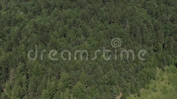 四架直升机上的树俄罗斯的森林草原草原和阿尔卑斯山上空的戏剧性云团俄罗斯视频的预览图