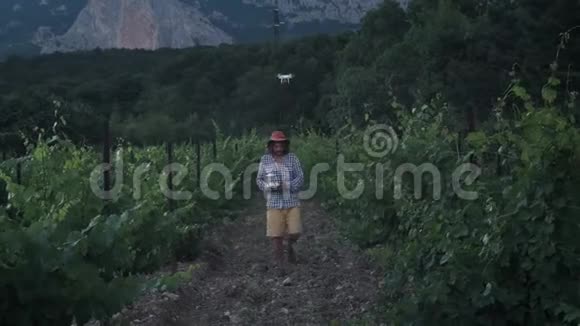 一个男性农民用无人机耕种监视它的葡萄田农业新技术复印机是视频的预览图