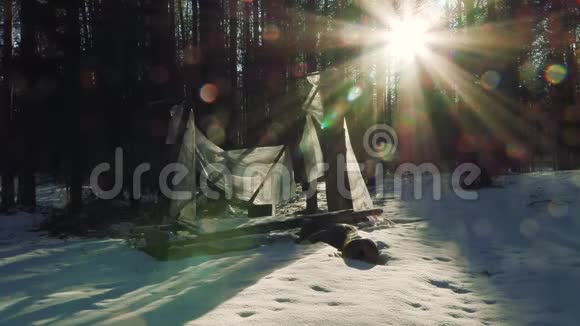 破屋在森林里阳光明媚的冬日视频的预览图