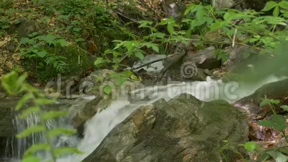 土木林水流视频的预览图