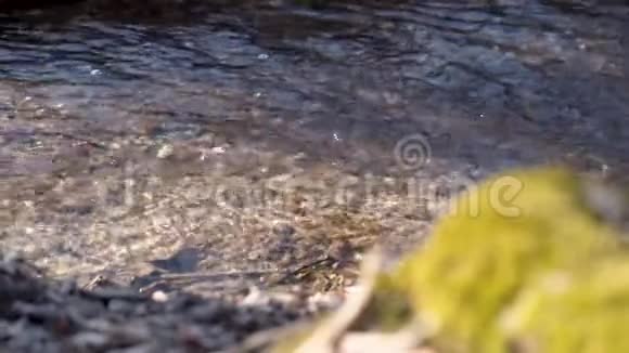 慢镜头在一条清澈的小河上用秋叶在阳光下摇曳视频的预览图