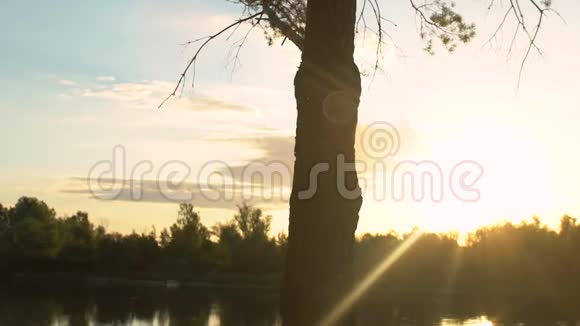 年轻的男性背包客在湖边欣赏日落在森林里跋涉旅行视频的预览图