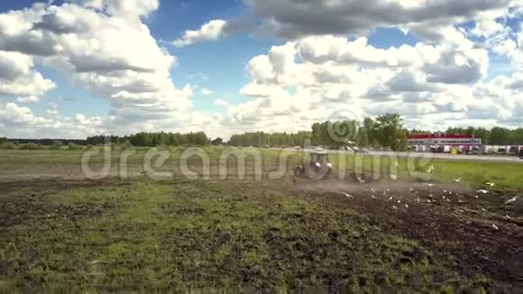 拖拉机鸟在田里啄谷时的后退运动视频的预览图