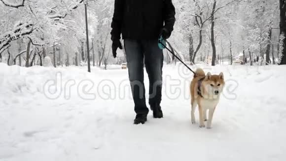 一个男人和一只有趣的狗在雪地公园里散步狗笑了舔了走路很滑稽视频的预览图