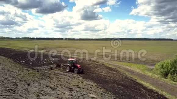 空中观景拖拉机在田里工作羊群在耙子里飞翔视频的预览图
