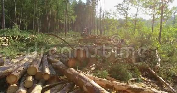 伐木场上有许多砍伐的树木这是一台伐木机在倒下的树木的背景下视频的预览图
