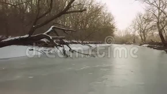 冰冻的河流和倒下的树视频的预览图