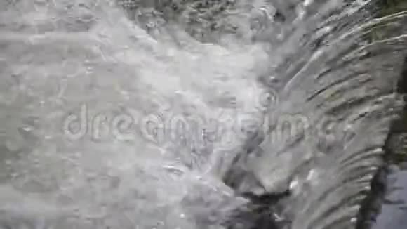森林河水流经岩石视频的预览图