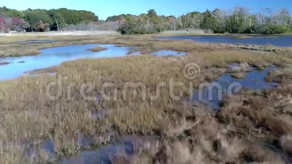 空中无人机低空飞越沼泽通过水域与无人机阴影在视图4K视频的预览图