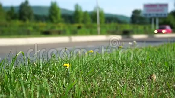 开车上路背景模糊特写镜头集中在前景的草地上夏日省城的车流量视频的预览图