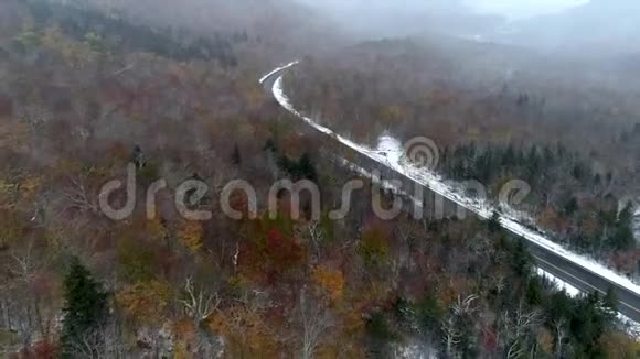 空中无人机驾驶暴风雪4K时用落色残余物飞越森林视频的预览图