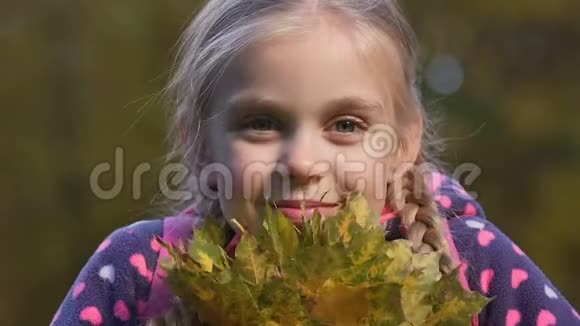 小女孩扎着辫子闻着秋叶的芬芳孩子们的幸福视频的预览图