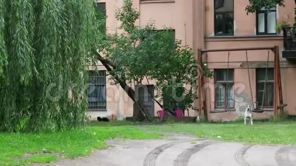 东欧的普通院子视频的预览图