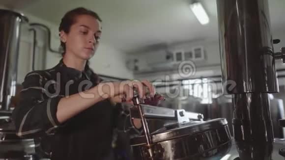 年轻女子在小型啤酒厂工作4k小企业概念视频的预览图